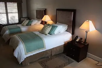 The Alexander